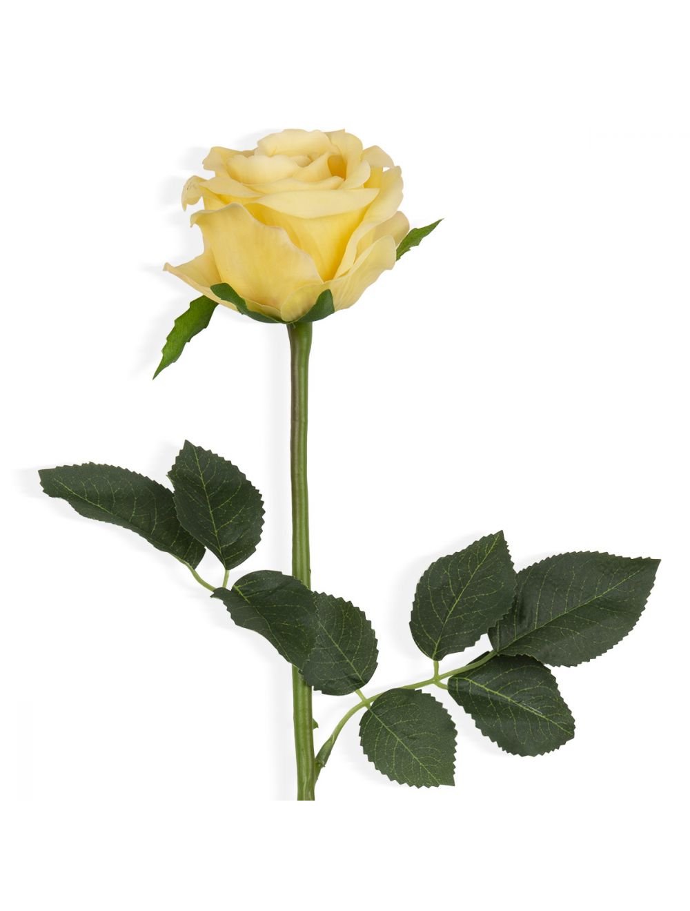Rose Spray